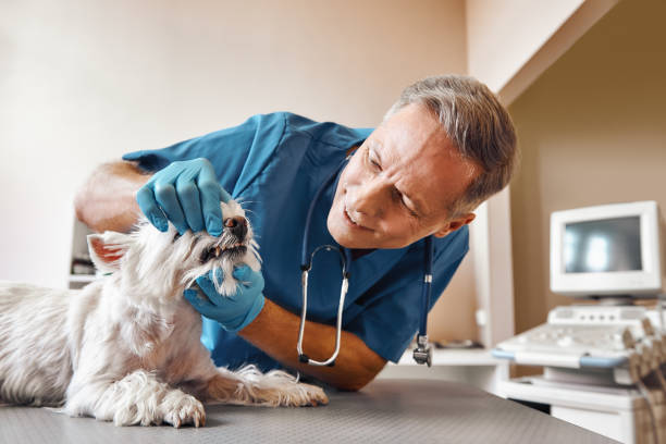 Best Emergency Tooth Extraction in Madison, IN